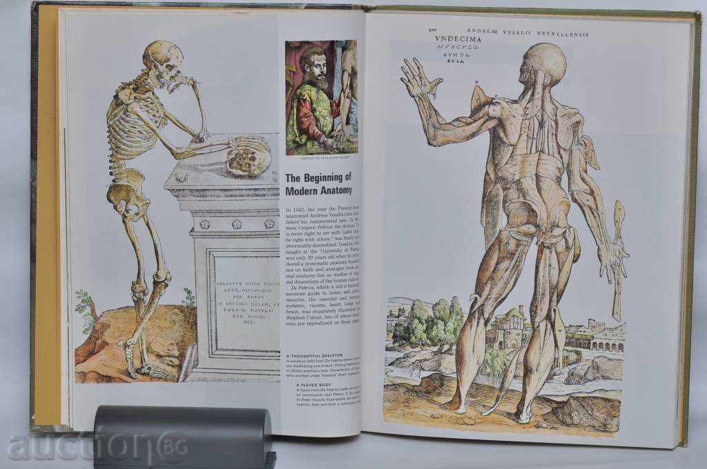 το Σώμα με τιμή € 2.56 | 5.01 BGN το Σώμα με τιμή € 2.56 | 5.01 BGN