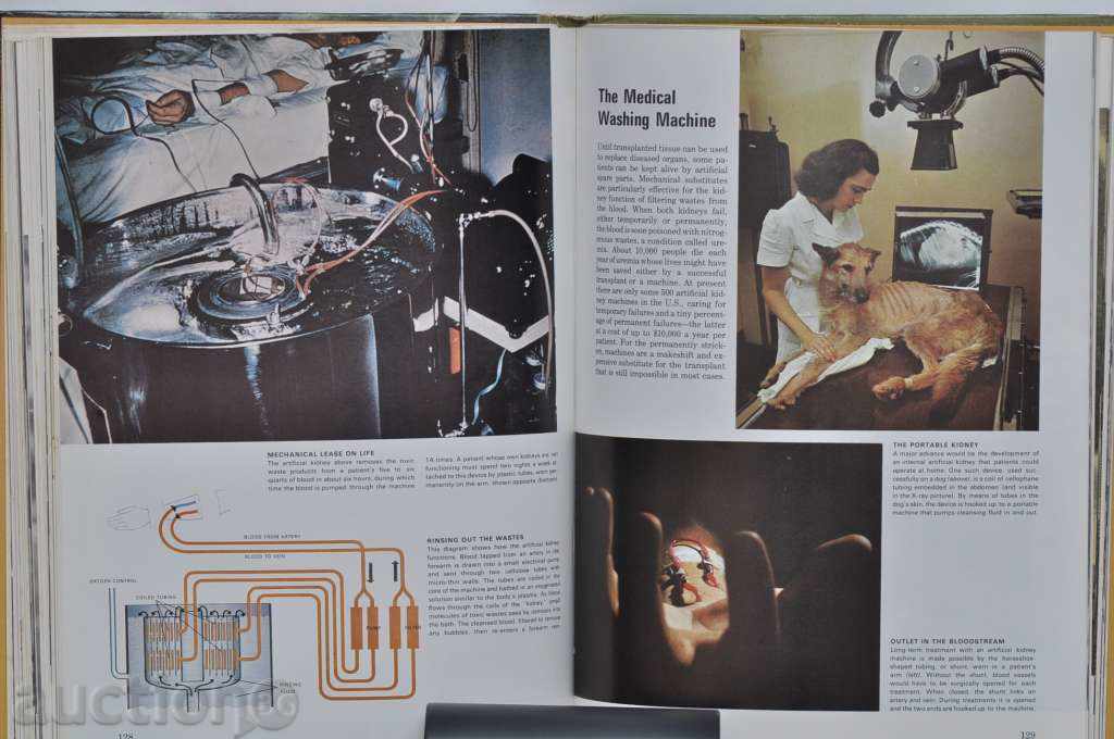 το Σώμα - 6 το Σώμα - 6