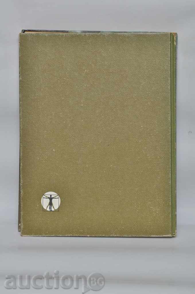 το Σώμα - 7 το Σώμα - 7