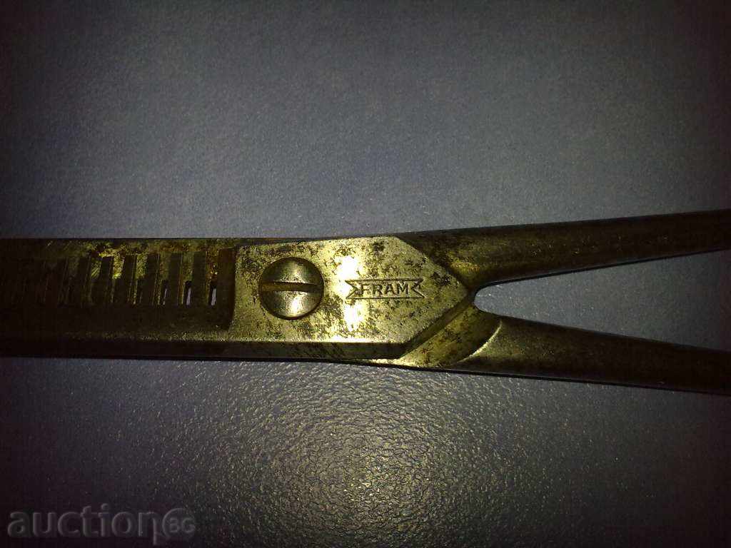 Delivery of STAR FILING BALL-SOLINGEN (SOLINGEN)