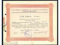 Share 3000 BGN SOFIA 1947 HLEBARSKA COOPERATION OSVOB. 6K165