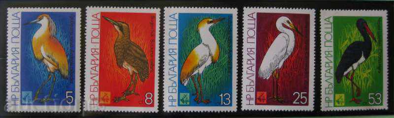 PM 3036-3040 Wild birds
