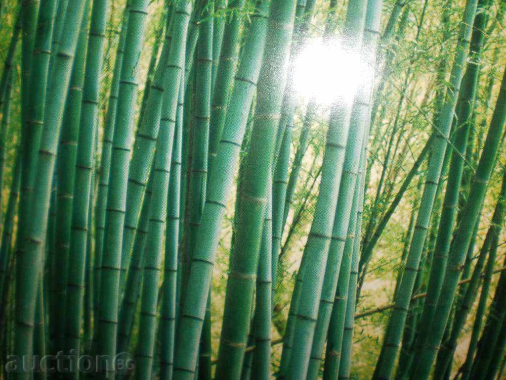 Album with art postcards from China, new price - 5 Album with art postcards from China, new price - 5