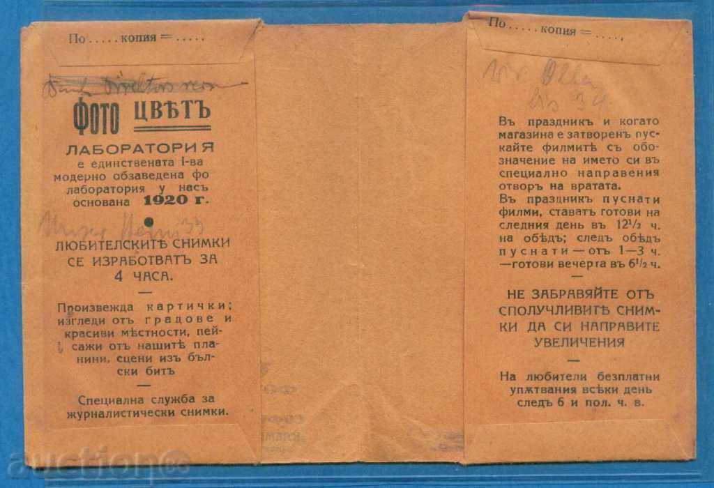 Auction PHOTO - COLOR - SOFIA - CLEMENTINA 14 / D333 Auction PHOTO - COLOR - SOFIA - CLEMENTINA 14 / D333