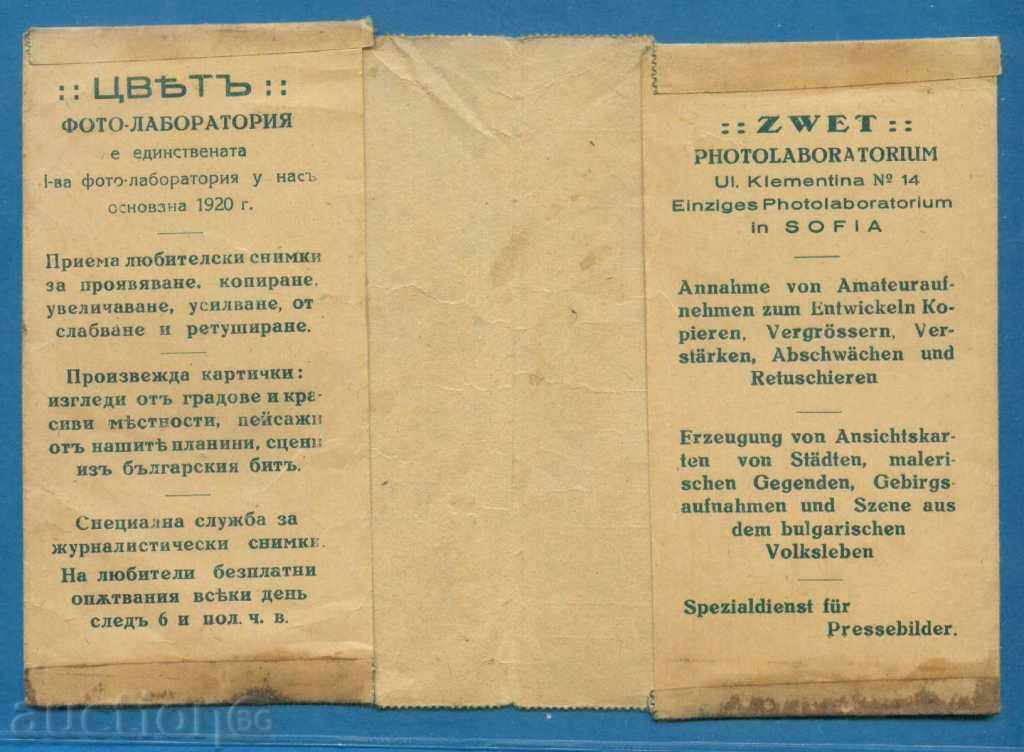 Auction PHOTO - COLOR - SOFIA - CLEMENTINA 14 / D343 Auction PHOTO - COLOR - SOFIA - CLEMENTINA 14 / D343