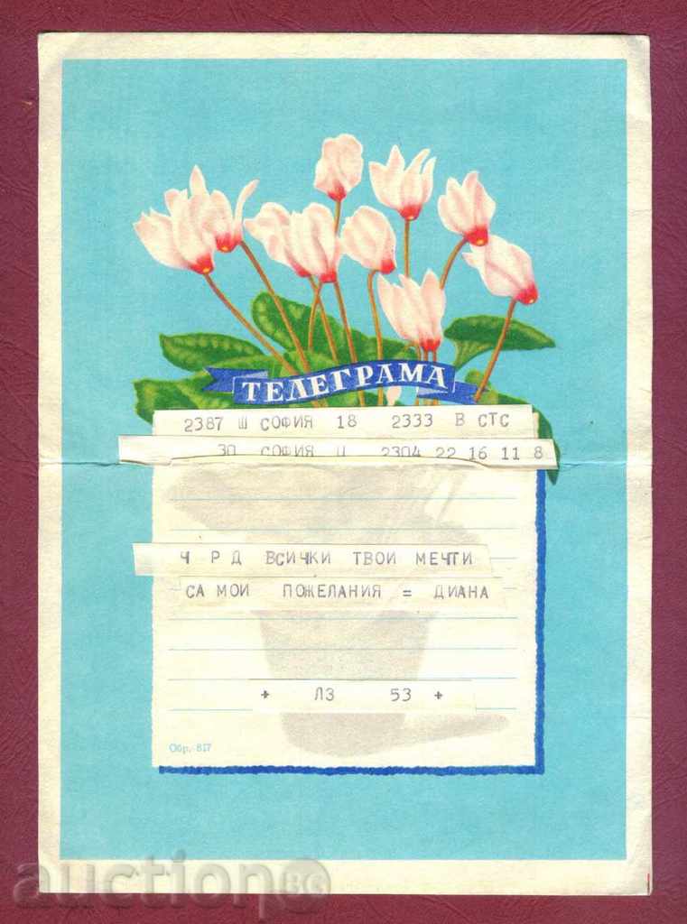 Auction  Illustrated Telegram - Fig. 817 - 17 x 24 cm / G 11