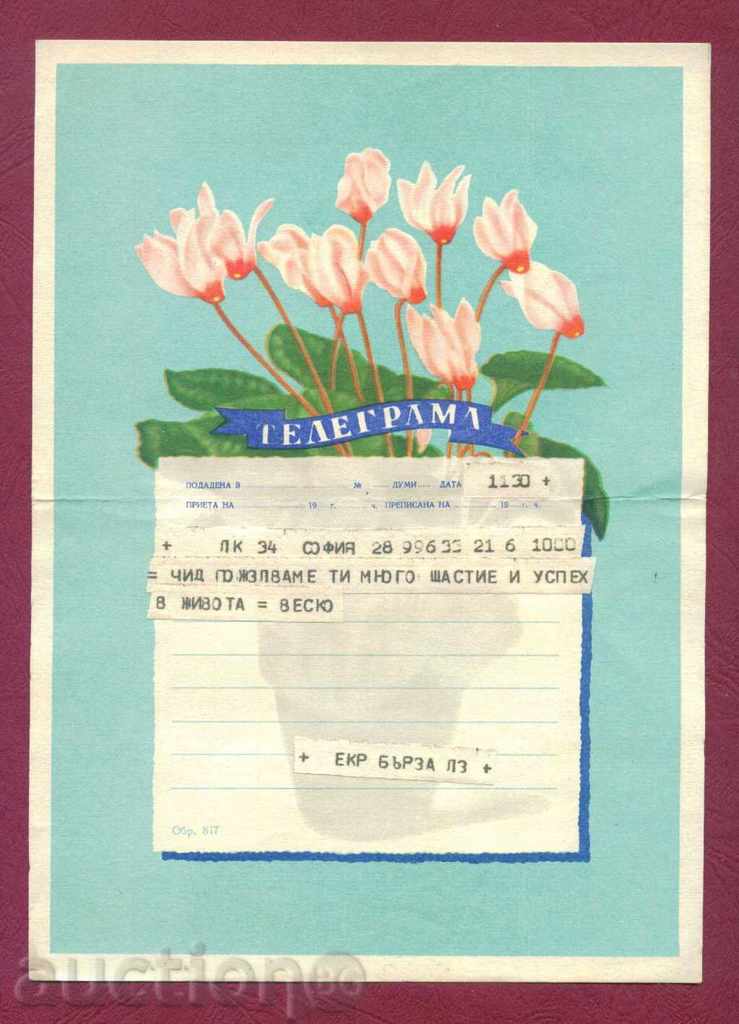 Illustrated Telegram - Fig. 817 - 17 x 24 cm / G 11 - 5