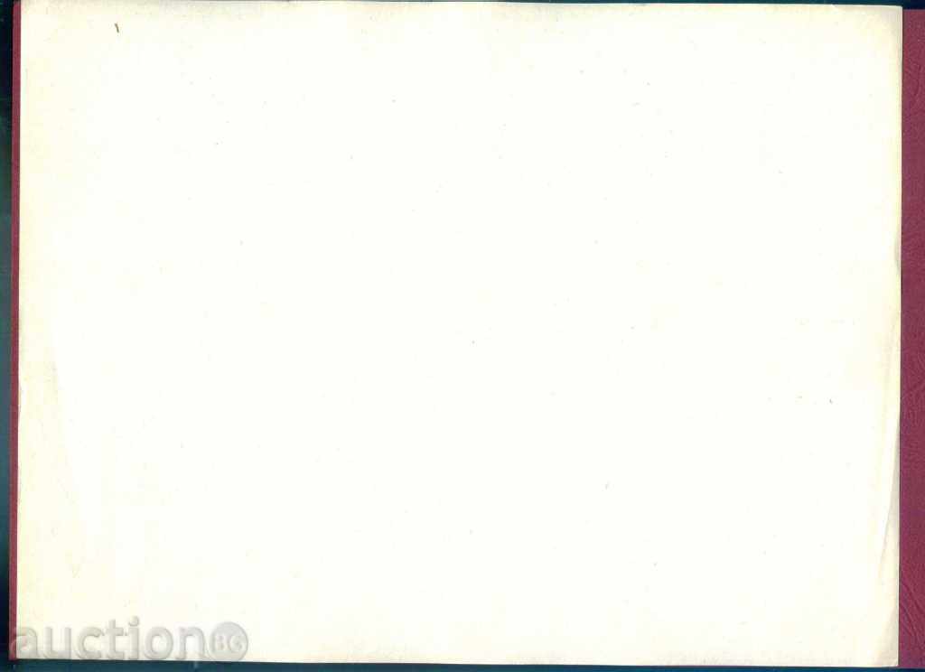 Auction  Illustrated Telegram - Fig. 839 - 28 x 21 cm / G 21