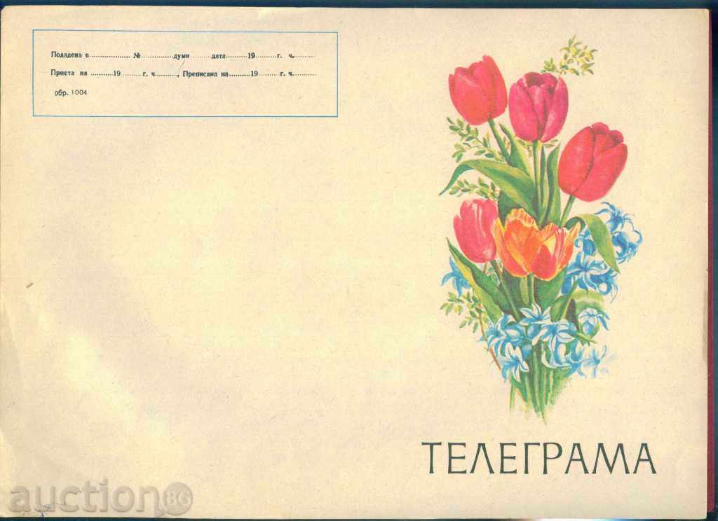 Illustrated Telegram - Fig. 1004 - 29 x 21 cm / G 29 with price 1.99 BGN | € 1.02 Illustrated Telegram - Fig. 1004 - 29 x 21 cm / G 29 with price 1.99 BGN | € 1.02