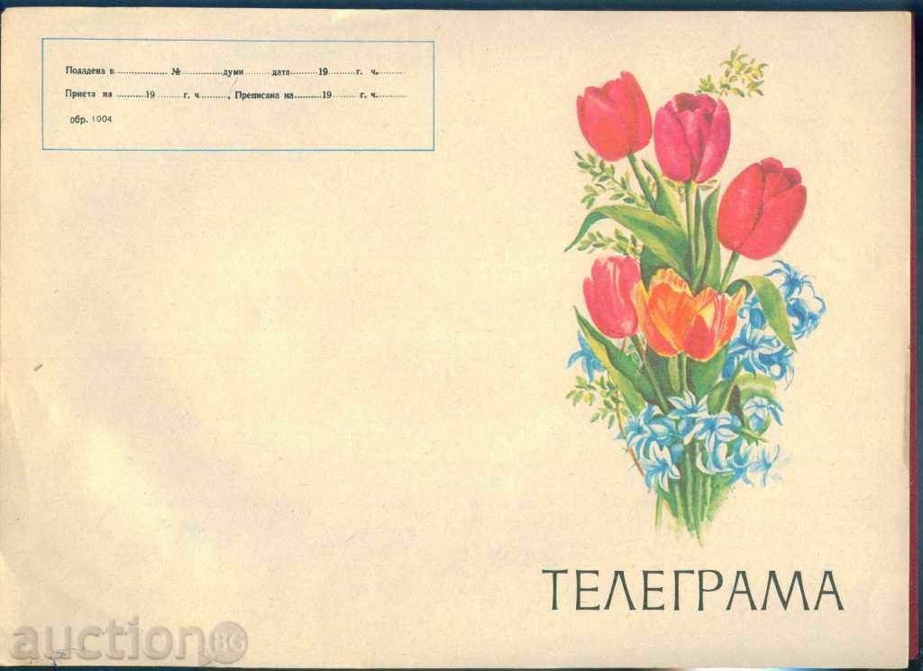 Илюстрована Телеграма - Обр. 1004 -  29 х 21 см. / G 29