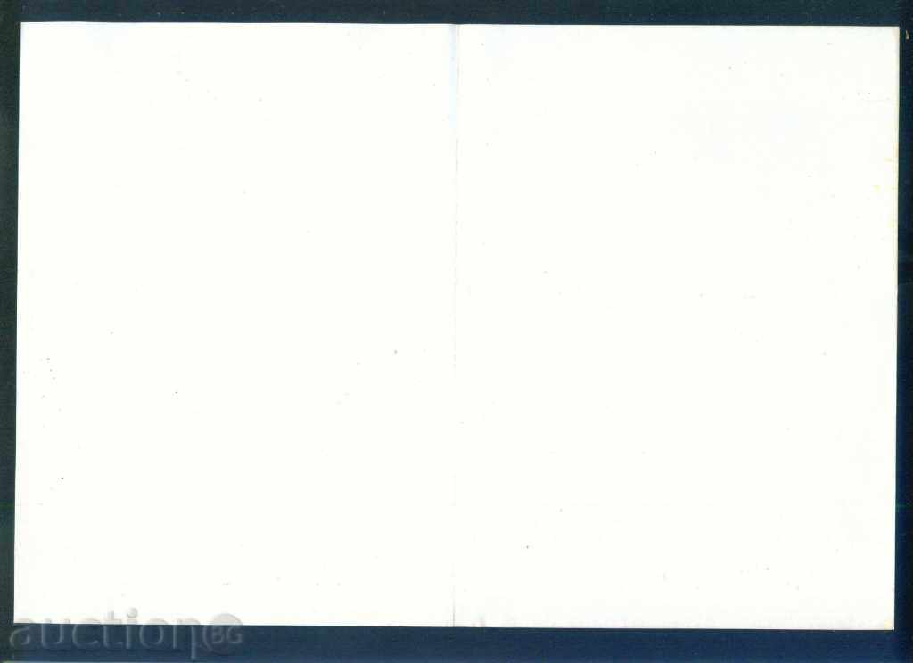 Auction  Illustrated Telegram - Fig. 2009 - 28 x 20 cm / G 48