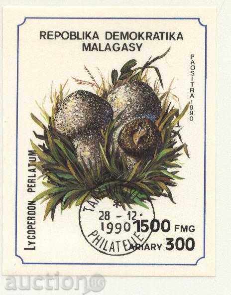 Stamped Block Non-Stained Mushrooms 1990 from Madagascar with price 3.50 BGN | € 1.79 Stamped Block Non-Stained Mushrooms 1990 from Madagascar with price 3.50 BGN | € 1.79