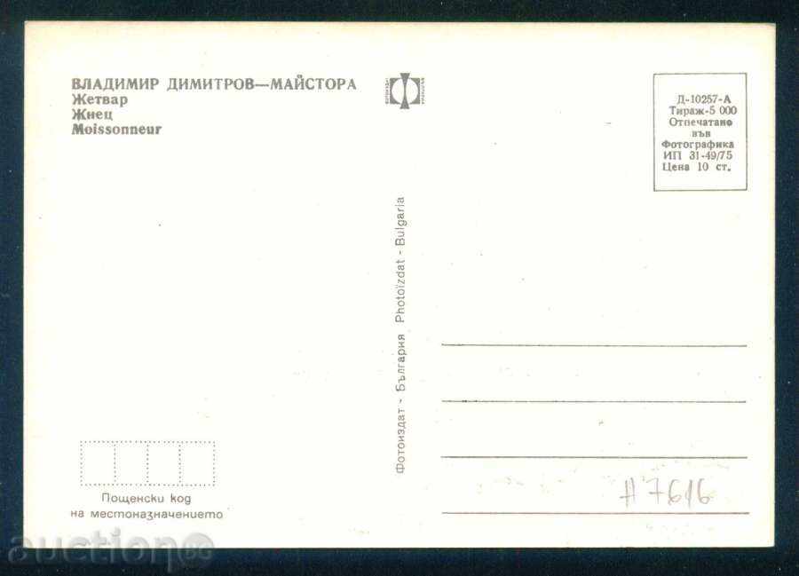 Auction Painter Vladimir Dimitrov - The Master - GRAY / A7617 Auction Painter Vladimir Dimitrov - The Master - GRAY / A7617