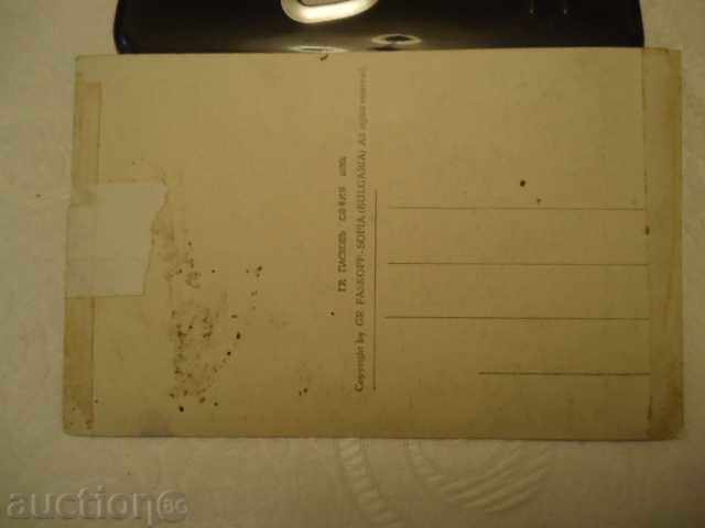 Auction Kostenets-waterfall 1930 Auction Kostenets-waterfall 1930