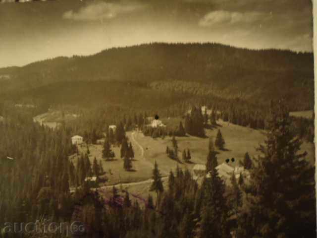 Auction Pamporovo - general view 1938 Auction Pamporovo - general view 1938