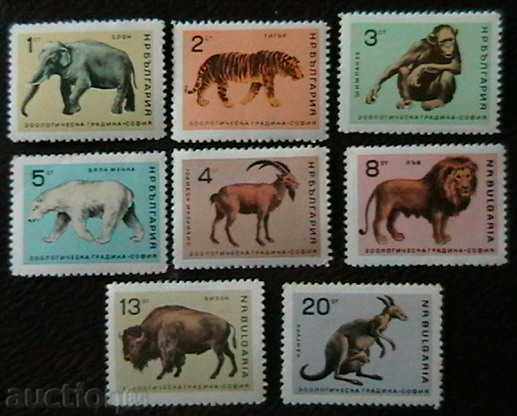 1966 Zoo