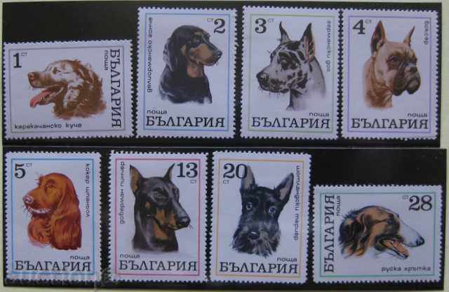 PM 2087-2094 - Dogs.