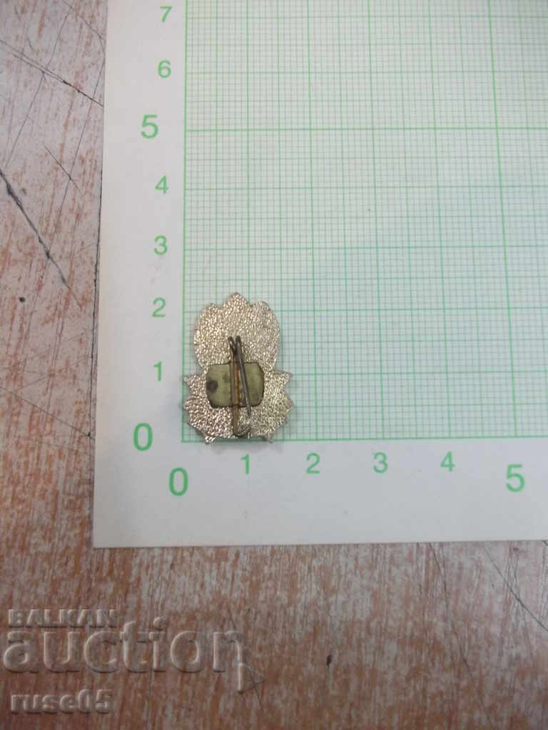 Badge "ALWAYS READY" with price 1.00 BGN | € 0.51