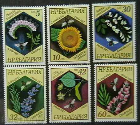 1987 Albinele și plante melifere.