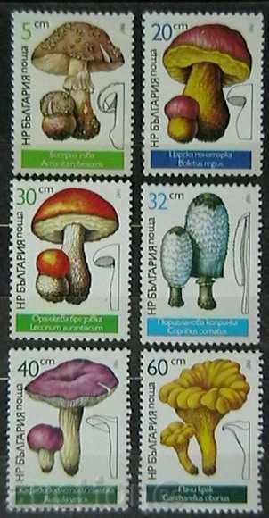 1987 ciuperci comestibile.