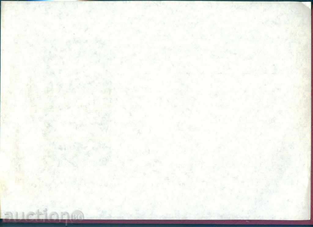 Auction Illustrated Telegram - Fig. 1007 - 29 x 20.5 cm / G 33 Auction Illustrated Telegram - Fig. 1007 - 29 x 20.5 cm / G 33