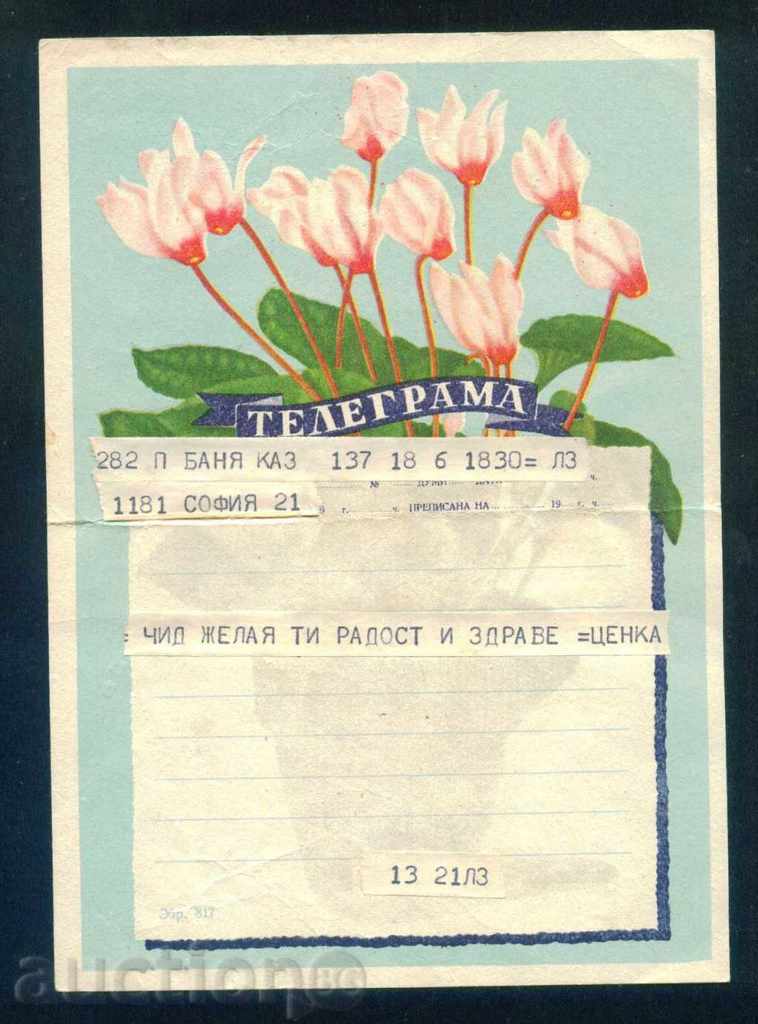 Illustrated Telegram - Fig. 817 - 14 x 20 cm / G 8E - 5 Illustrated Telegram - Fig. 817 - 14 x 20 cm / G 8E - 5