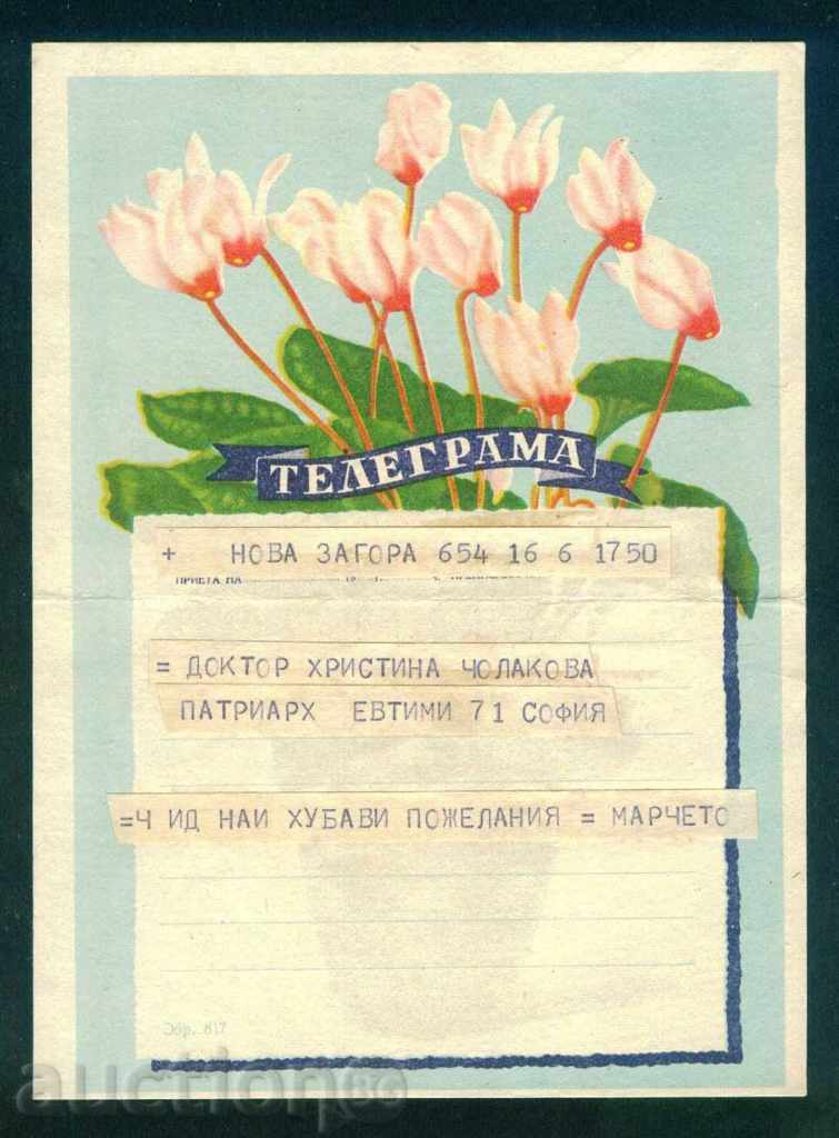 Illustrated Telegram - Fig. 817 - 14 x 19.5 cm / G 8P - 5 Illustrated Telegram - Fig. 817 - 14 x 19.5 cm / G 8P - 5