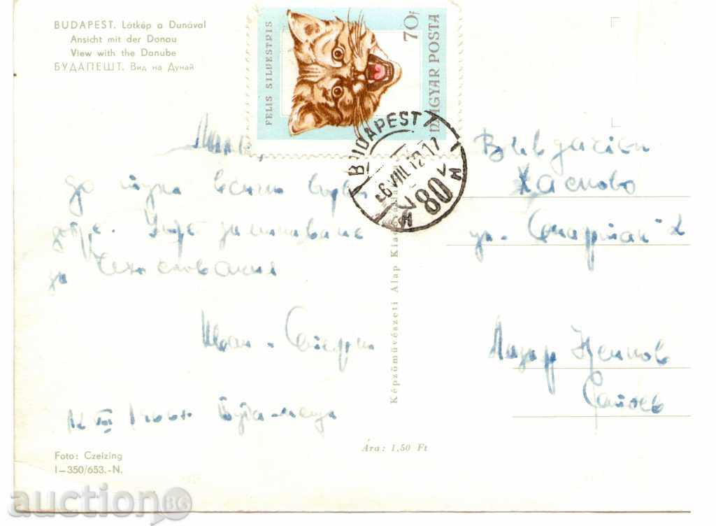 CARD-BUDAPEST-1967-TRIP with price 0.50 BGN | € 0.26 CARD-BUDAPEST-1967-TRIP with price 0.50 BGN | € 0.26