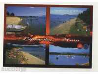 Trimite o felicitare Flori Tintiava Slovacia