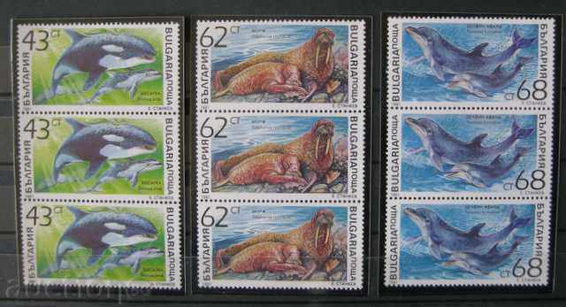 PM 3975-3980 Marine mammals.