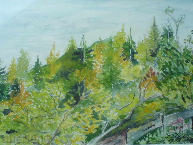 PICTURE - AQUAREL with price 45.00 BGN | € 23.01 PICTURE - AQUAREL with price 45.00 BGN | € 23.01