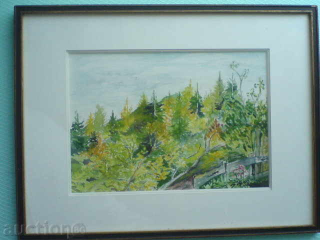 PICTURE - AQUAREL