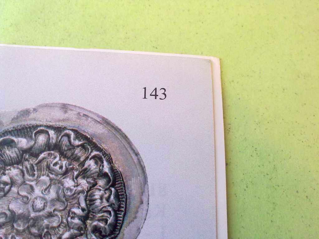 Auction AUCTION-COLOR Auction AUCTION-COLOR