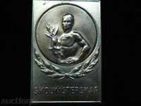 plaque-sport-bronze