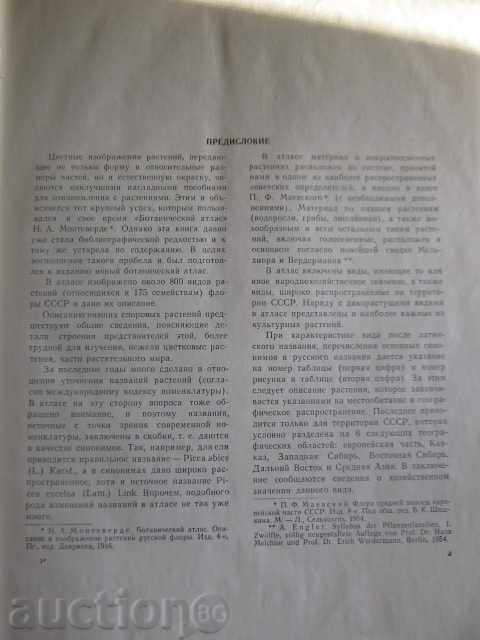 Book "Botanical Atlas -BK Shishkin" - 504 p. with price 30.00 BGN | € 15.34 Book "Botanical Atlas -BK Shishkin" - 504 p. with price 30.00 BGN | € 15.34