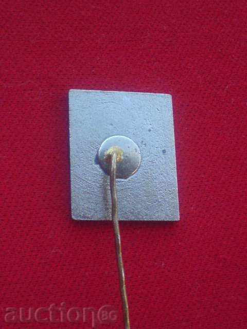 Delivery of Pin 24 - Rare Delivery of Pin 24 - Rare