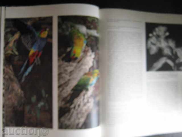 Delivery of Book "L, AUSTRALIE ET LES ILES DU SUD-ALLEN KEAST" -300pp- Delivery of Book "L, AUSTRALIE ET LES ILES DU SUD-ALLEN KEAST" -300pp-