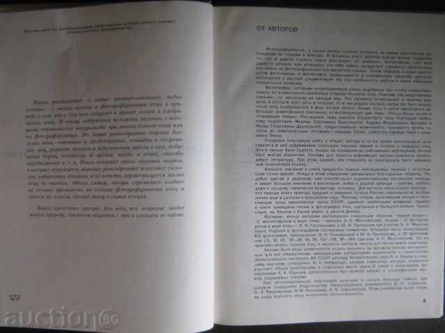 Книга "Птицы перед микроф. и фотоапар.-А.Мальчевский"-208стр с цена 20.00 лв. | € 10.23 Книга "Птицы перед микроф. и фотоапар.-А.Мальчевский"-208стр с цена 20.00 лв. | € 10.23