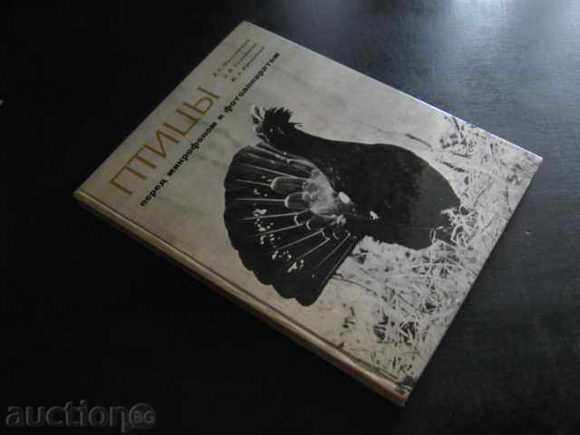 Книга "Птицы перед микроф. и фотоапар.-А.Мальчевский"-208стр - 7 Книга "Птицы перед микроф. и фотоапар.-А.Мальчевский"-208стр - 7