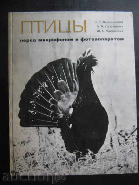 Βιβλίο «Πουλιά τρέχει και να μειώσει μικροφίλμ. Fotoapar. Και-A.Malychevskiy» -208str