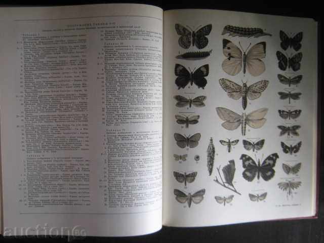 Book "Большая советская энциклопедия-том 2" - 632 стр. - 5 Book "Большая советская энциклопедия-том 2" - 632 стр. - 5