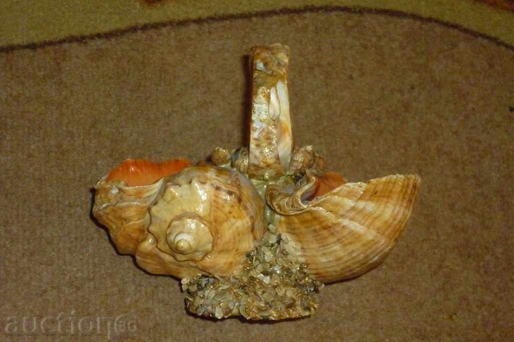 Σοσιαλιστική θαλασσινά αναμνηστικό δεδομένου ότι τη δεκαετία του '70 2 με τιμή 37.00 BGN | € 18.92