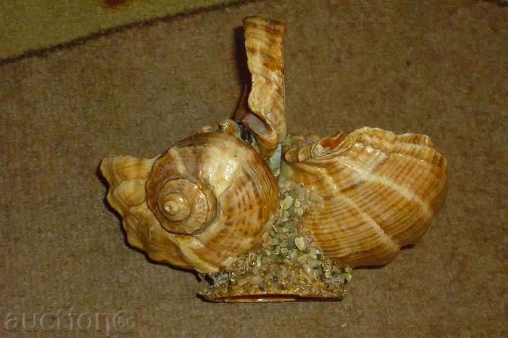 Δημοπρασία Σοσιαλιστική θαλασσινά αναμνηστικό δεδομένου ότι τη δεκαετία του '70 2