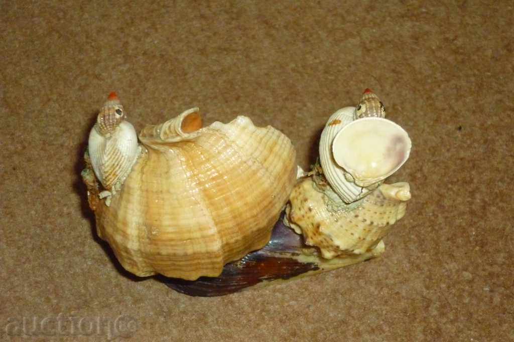 Παράδοση Σοσιαλιστική θαλασσινά αναμνηστικό δεδομένου ότι τη δεκαετία του '70 2 Παράδοση Σοσιαλιστική θαλασσινά αναμνηστικό δεδομένου ότι τη δεκαετία του '70 2