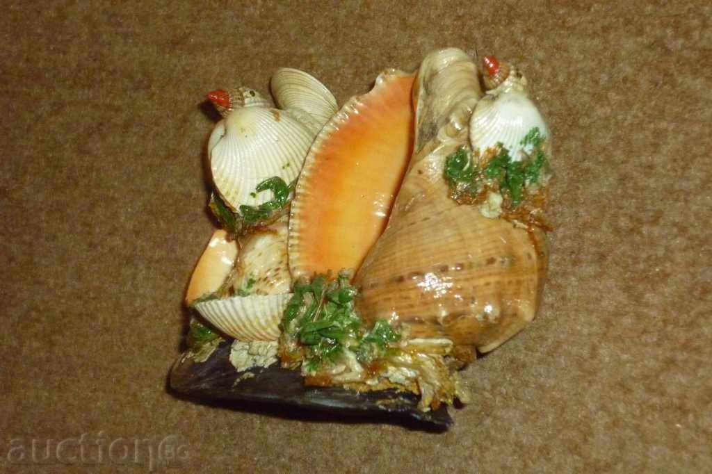 Σοσιαλιστική θαλασσινά αναμνηστικό δεδομένου ότι τη δεκαετία του '70 2 - 7 Σοσιαλιστική θαλασσινά αναμνηστικό δεδομένου ότι τη δεκαετία του '70 2 - 7