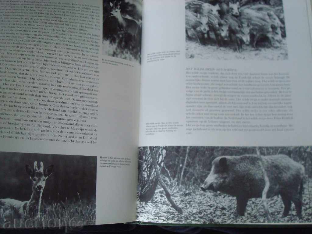 Auction Book by N.C.R.Bogaart. format 315x240mm. 210 pages. Auction Book by N.C.R.Bogaart. format 315x240mm. 210 pages.