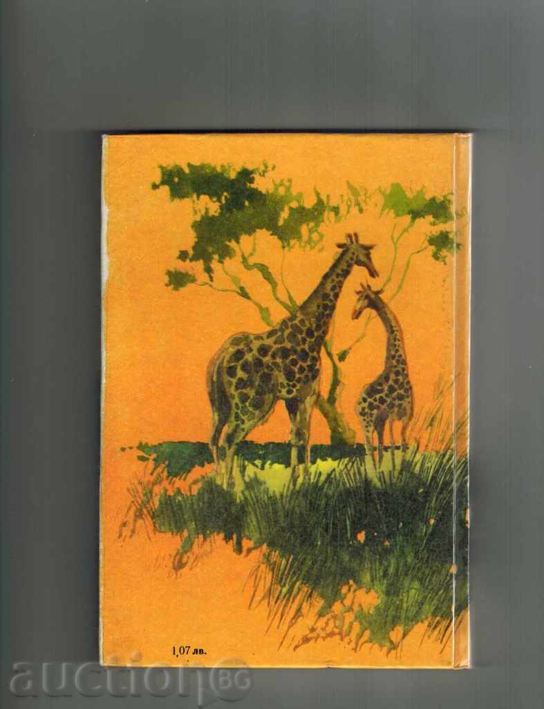 KAMBO - PETER BOBEV with price 5.00 BGN | € 2.56 KAMBO - PETER BOBEV with price 5.00 BGN | € 2.56