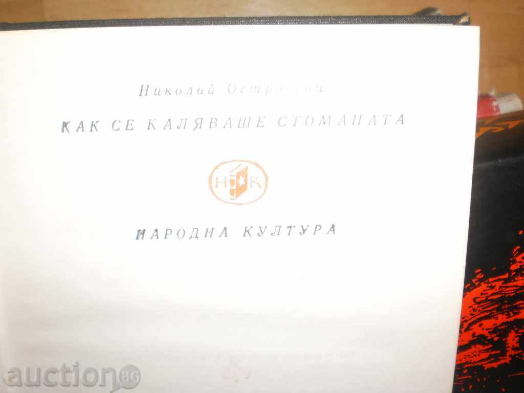 Delivery of Nikolay Ostrovski - "How Steel Was Stoned" Delivery of Nikolay Ostrovski - "How Steel Was Stoned"