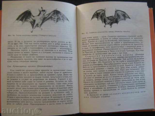Auction Book "Mammals - Prof. Dr. Georgi Markov" - 418 pages Auction Book "Mammals - Prof. Dr. Georgi Markov" - 418 pages
