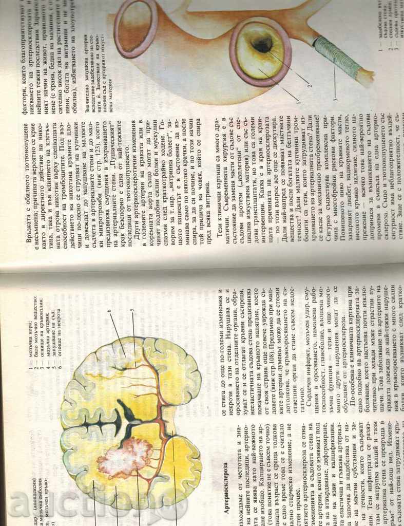 Delivery of THE HUMAN ORGANISM - HEALTH AND BABY - D. KUNJELL Delivery of THE HUMAN ORGANISM - HEALTH AND BABY - D. KUNJELL